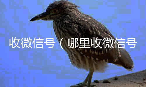 收微信号收购微信号（哪里收微信号）